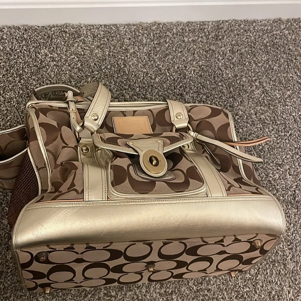 Coach dog carrier